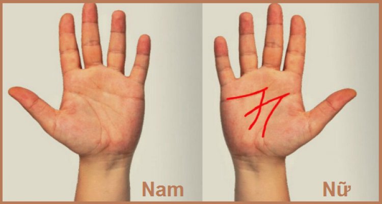 chỉ tay chữ m ở nam và nữ