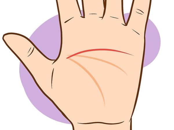 chỉ tay người có ăn số