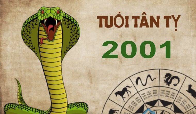 tử vi tân tị 2001